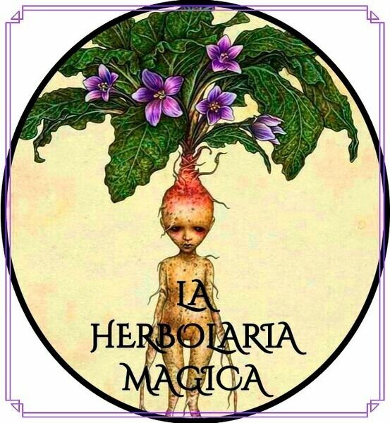 LA HERBOLARIA MAGICA