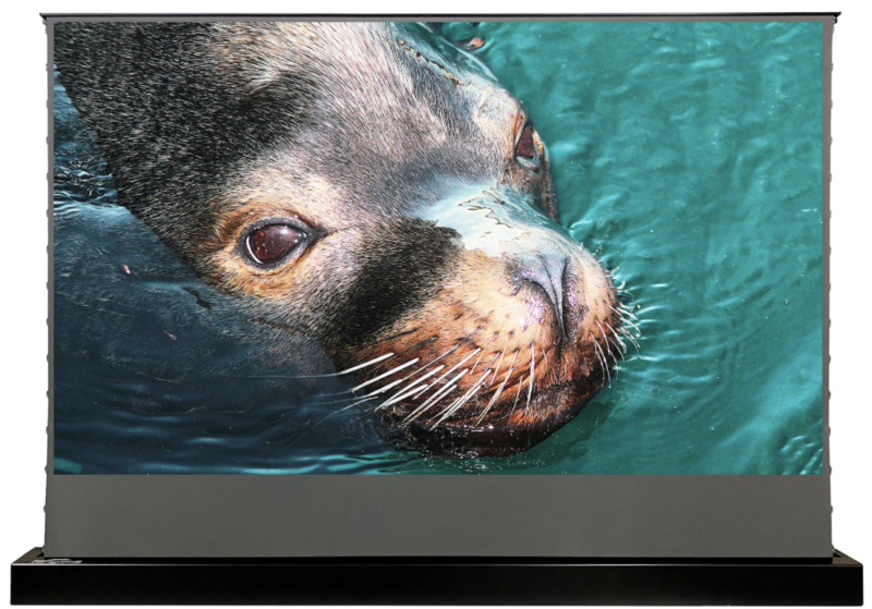 Vividstorm S ALR Electric Tension Floor Screen Obsidian 110"