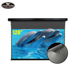 Vividstorm 120" Slimline Tab-Tensioned Drop Down Obsidian Long Throw ALR Screen