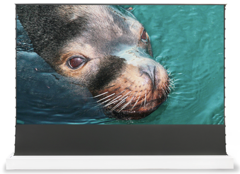 Vividstorm S ALR Electric Tension Floor Screen Obsidian 150" (black)