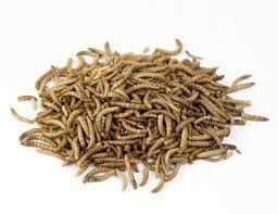 VHF Dried Mealworms 100g