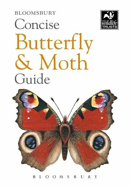 TWT Concise Butterfly and Moth Guide