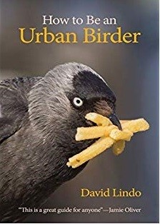 David Lindo How to be an Urban Birder