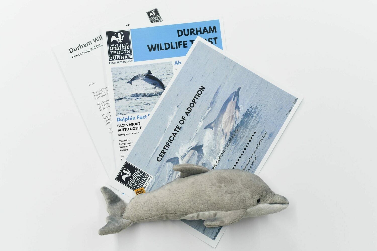 Adopt a Dolphin