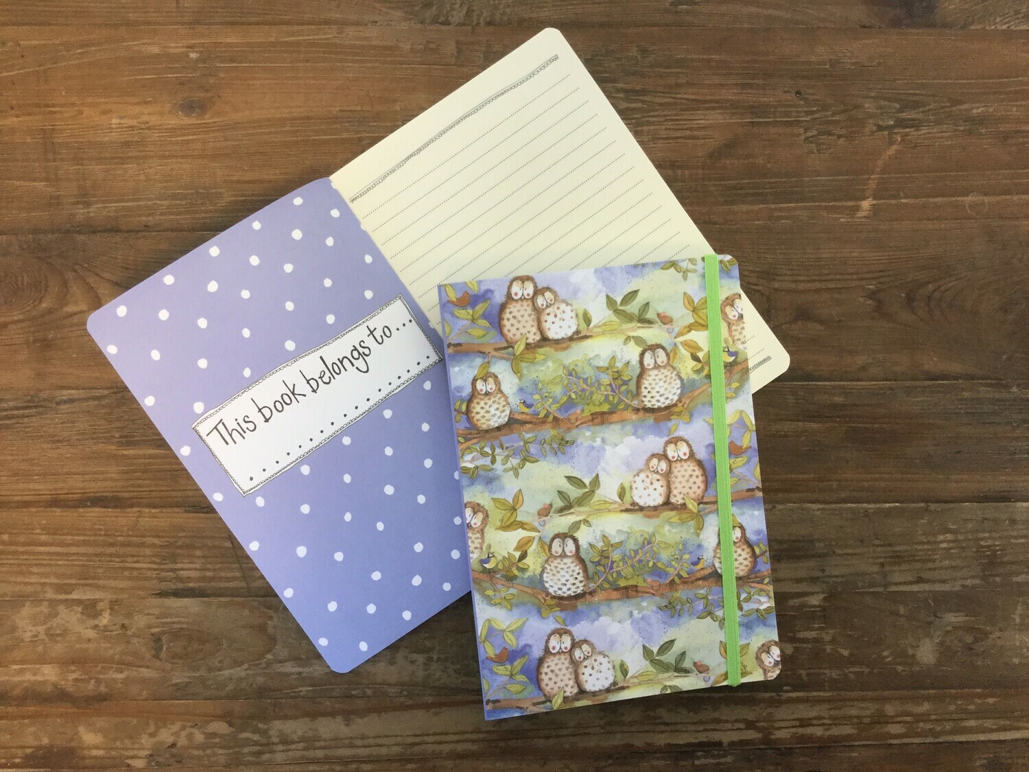 Alex Clark Owls Large Chunky Notebook