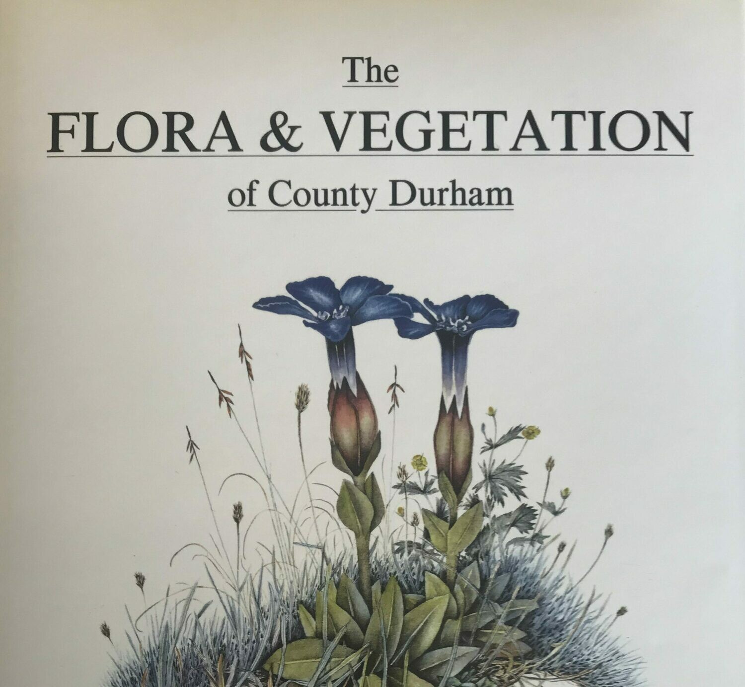 The Flora and Vegetation of County Durham