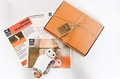 Adopt an Owl