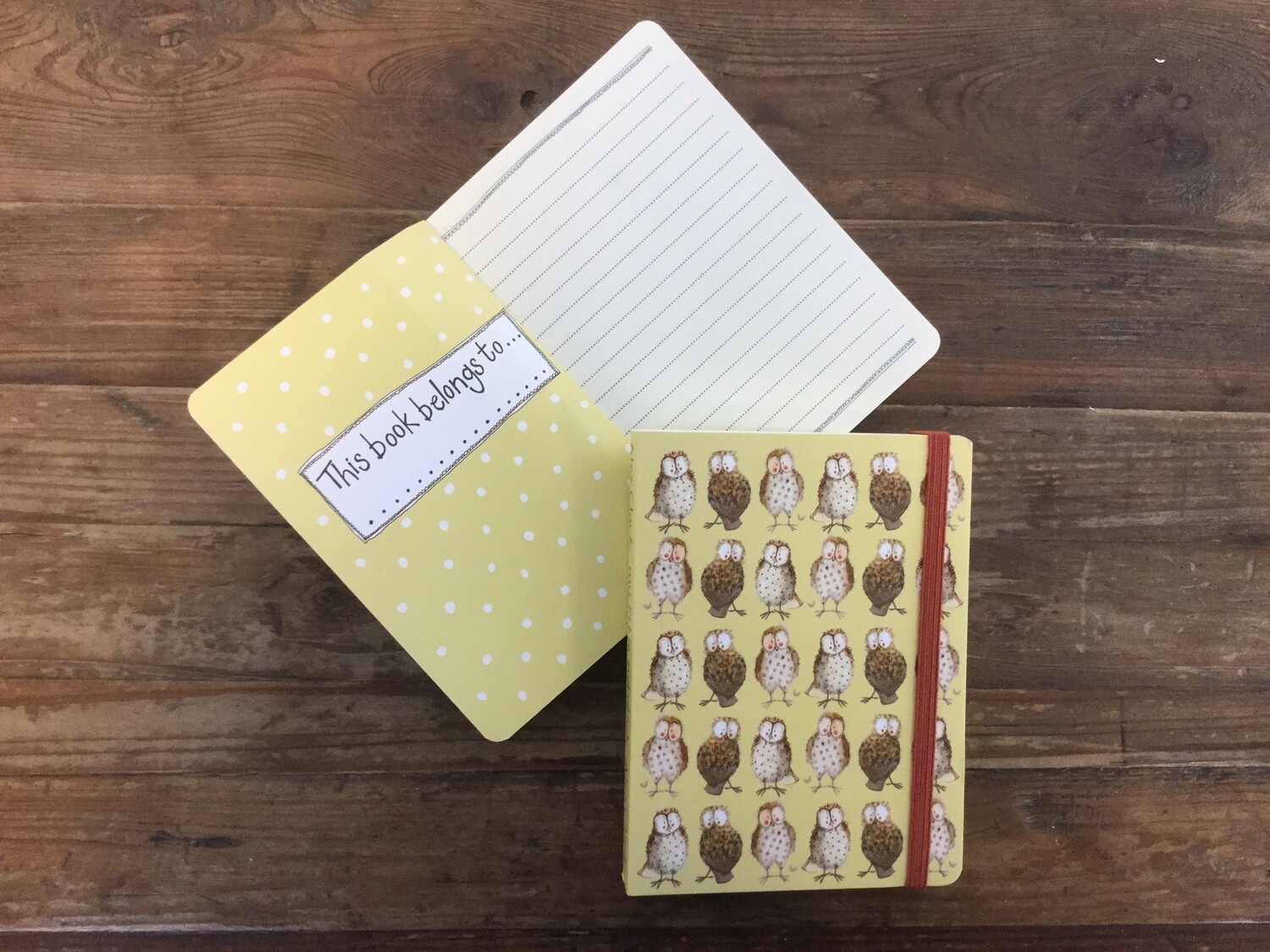Alex Clark Owls Small Chunky Notebook