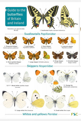 FSC Fold Out Guides