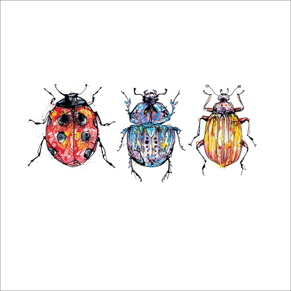 Kathryn Callaghan Art Card, Design: Beetles