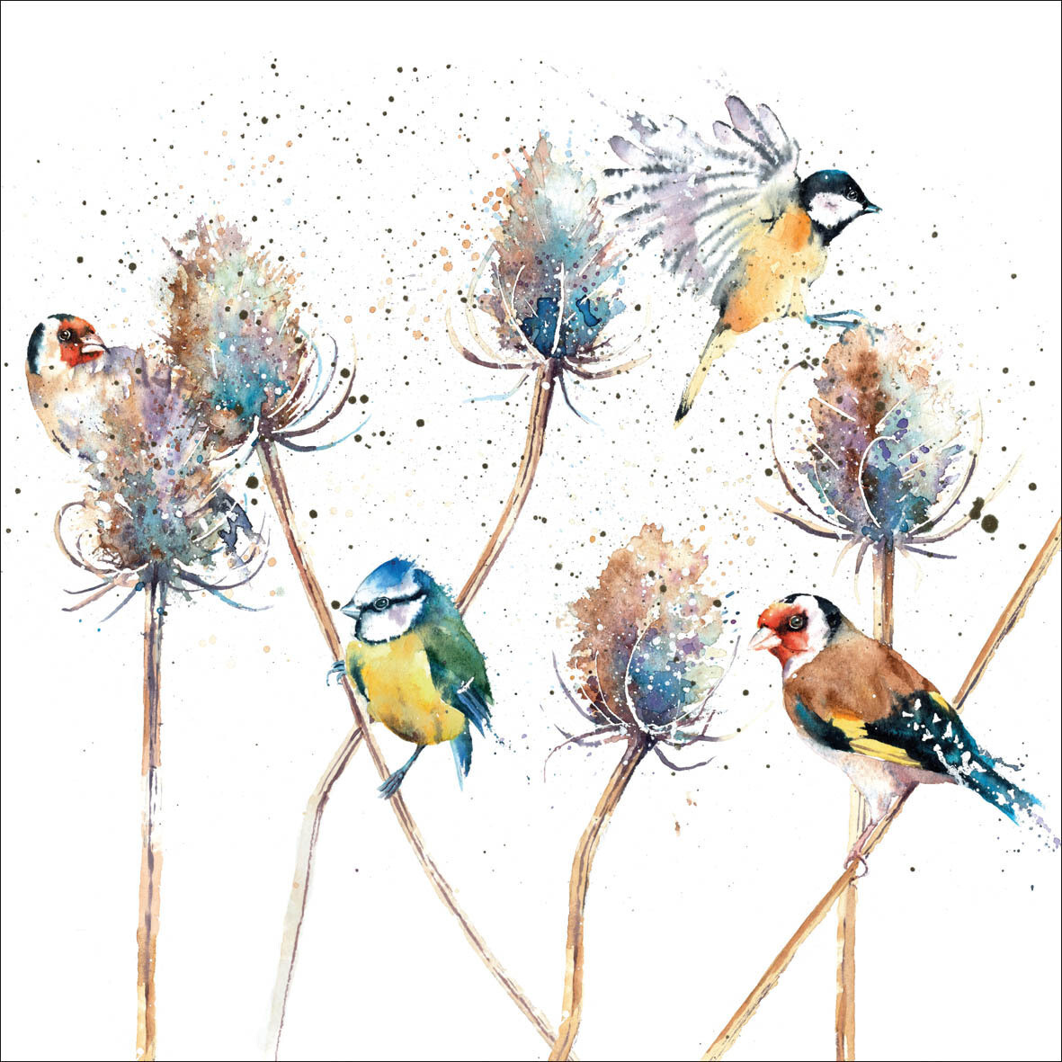 Rachel Toll Art Card, Design: Birds and Teasels