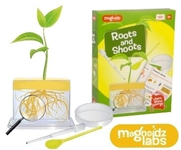 Magnoidz &#39;Roots &amp; Shoots&#39; Science Kit