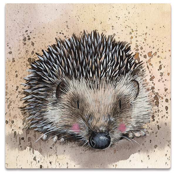 Alex Clark Fridge Magnets, Design: Harriet Hedgehog