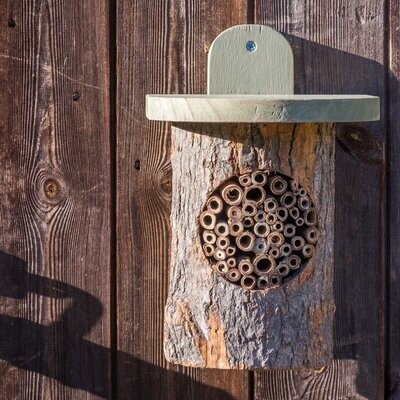 Natural Log Bee Home