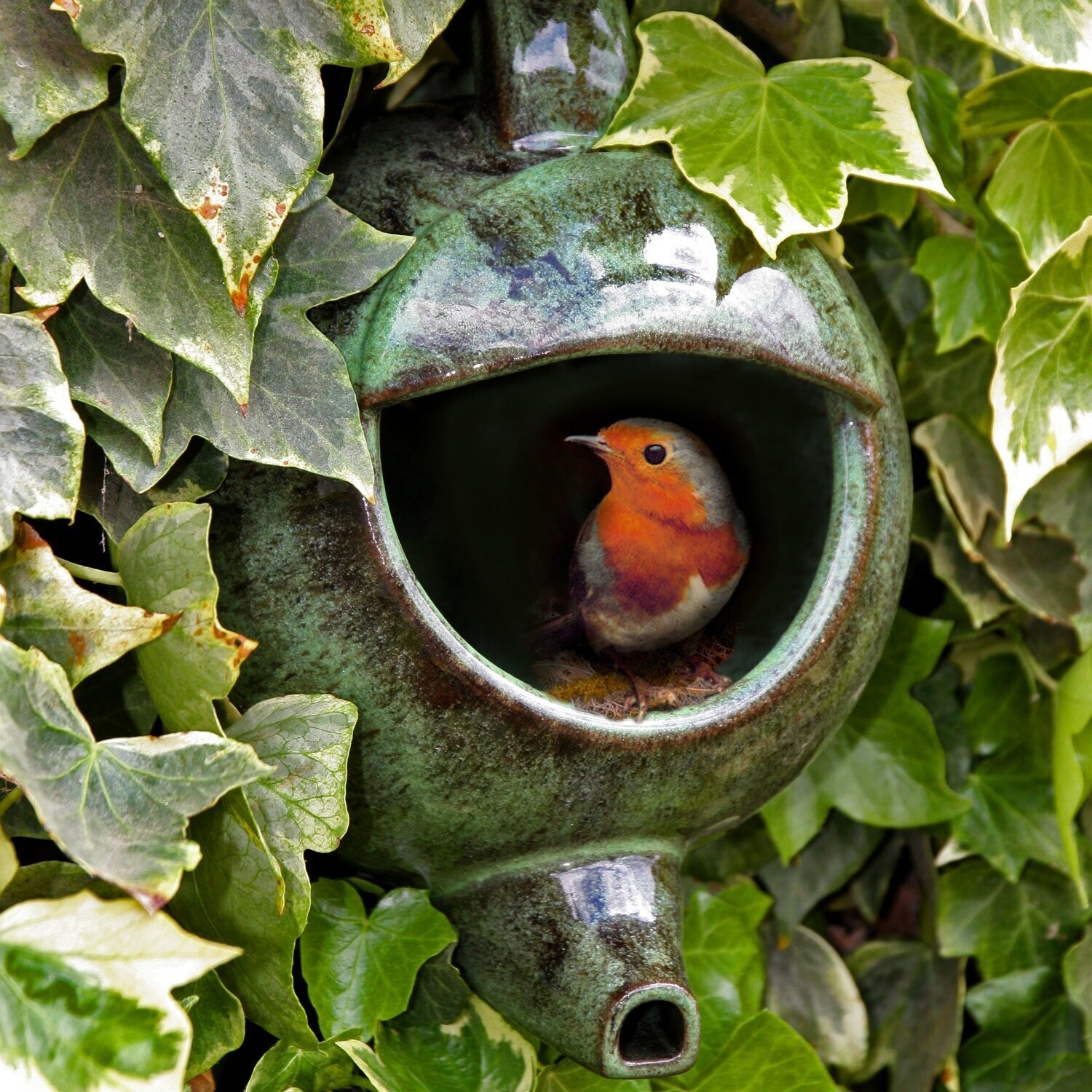 Robin Teapot Nester