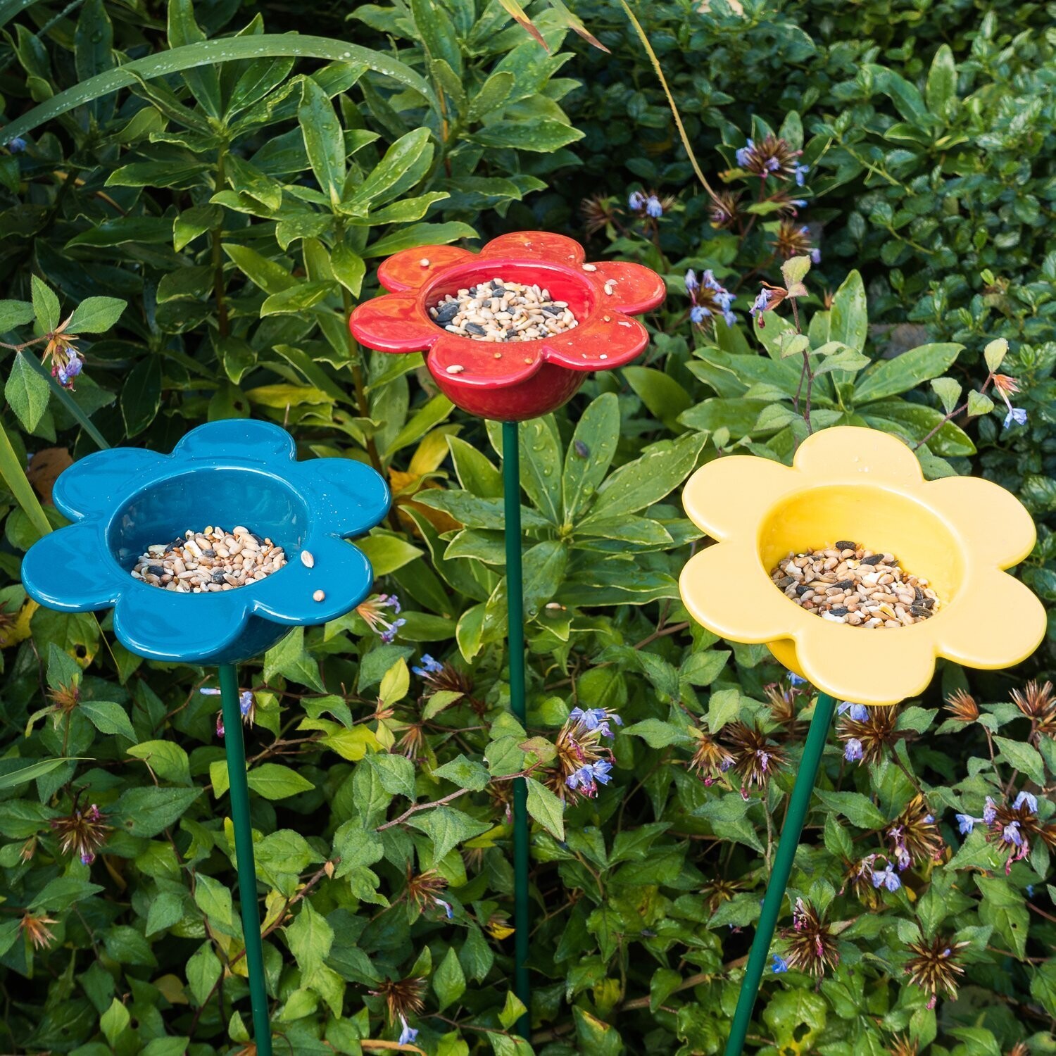 Petal Bird Feeder