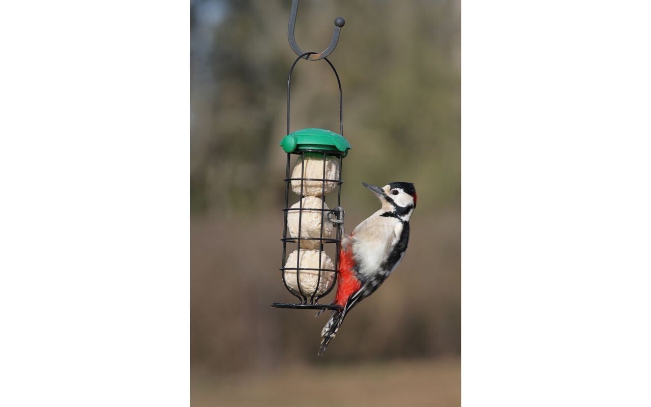 VHF Super Suet Fat Balls Refill Box of 50