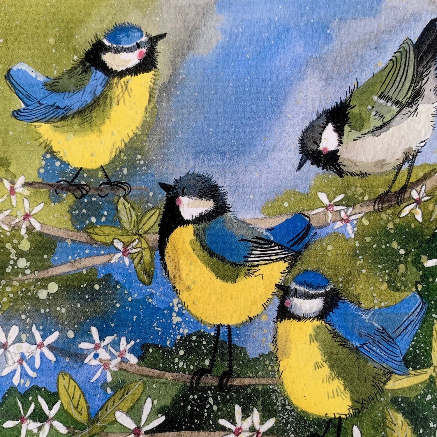 Alex Clark Assorted Tits Bird Coaster
