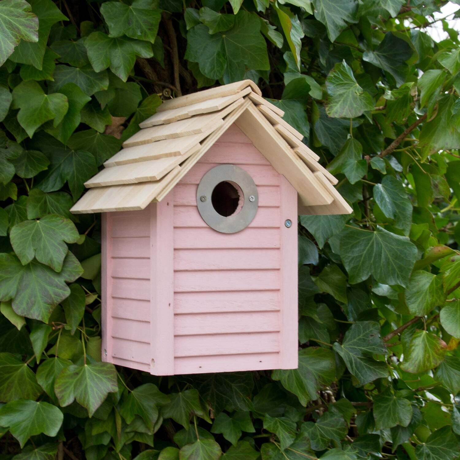 New England Nest Box Pink