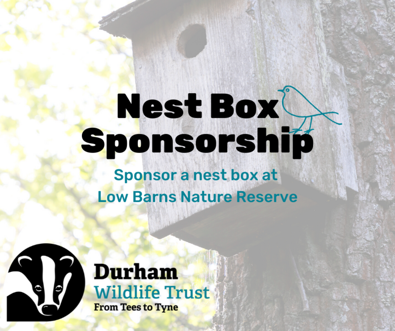 Nest Box Sponsorship Monthly