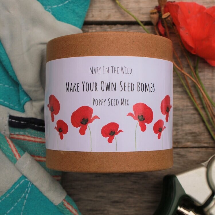 Mary In The Wild Make Your Own Seed Bombs