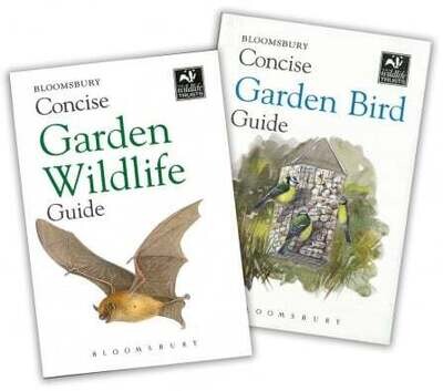 Father's Day Gift Guide