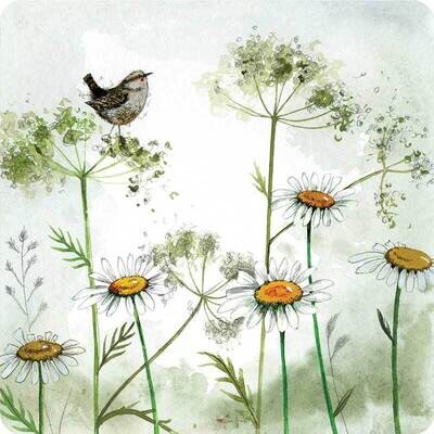 Alex Clark Wren and Cow Parsley Coaster