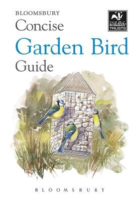 Gifts Under £10