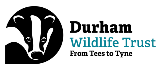 Durham Wildlife Trust Online Store