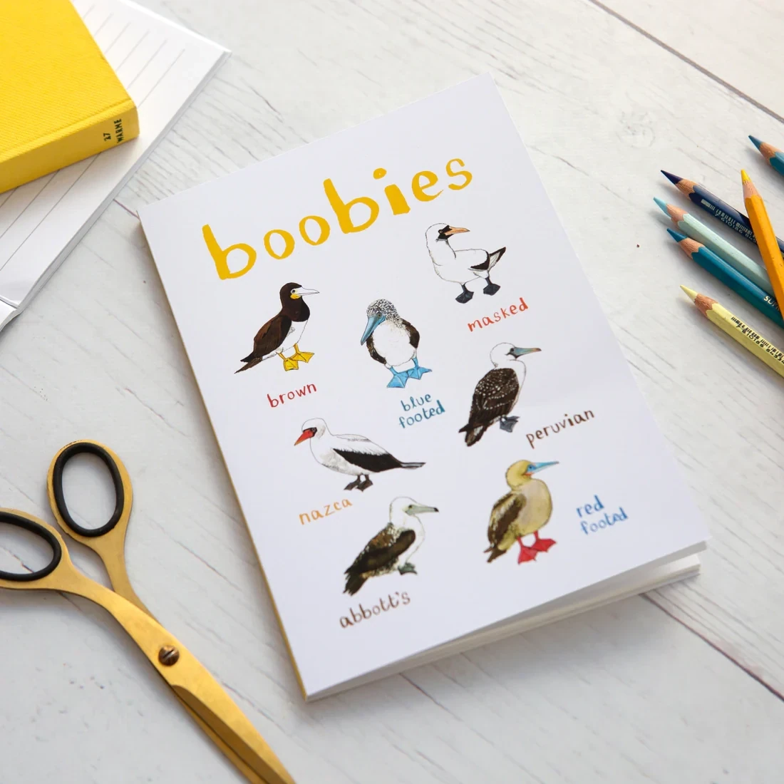 Sarah Edmonds Boobies Notebook
