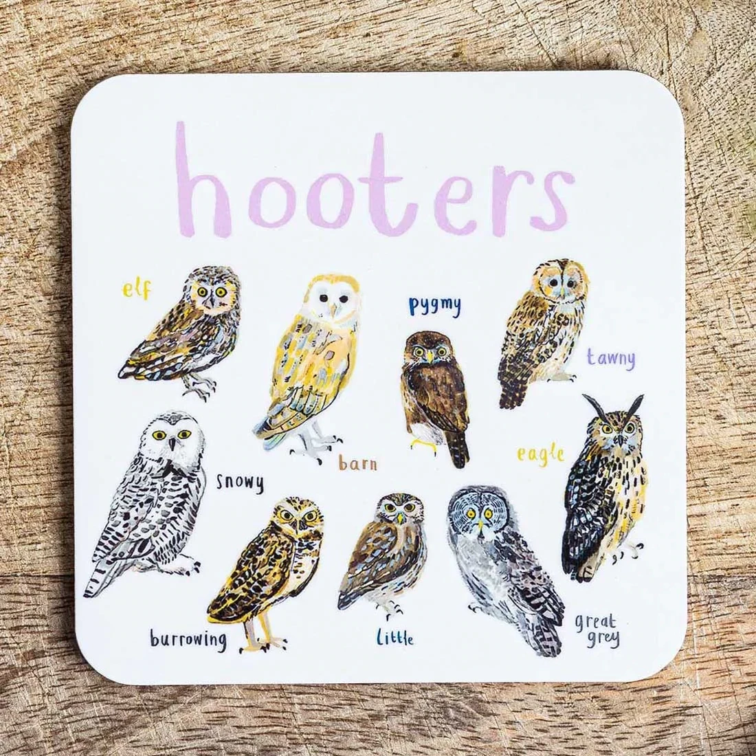 Sarah Edmonds Hooters Coaster
