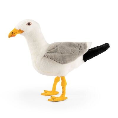 Living Nature Herring Gull