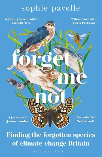 Forget Me Not by Sophie Pavelle