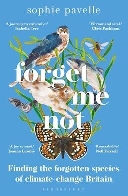 Forget Me Not by Sophie Pavelle