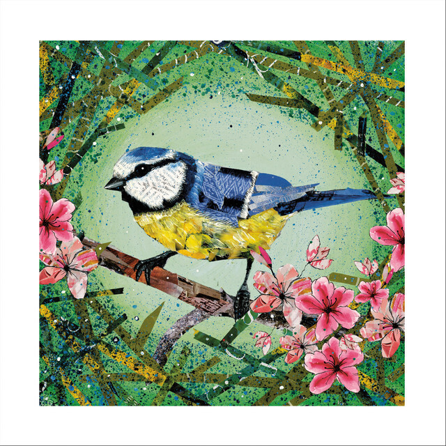 Adam James Severn Art Card, Adam Art Cards: Blue Tit in Blossom