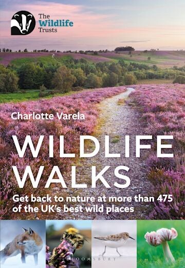 Wildlife Walks (New Logo)