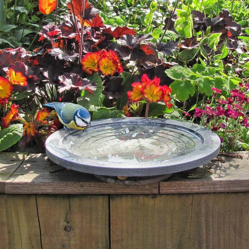 Aristotle Oasis Bath &amp; Drinker