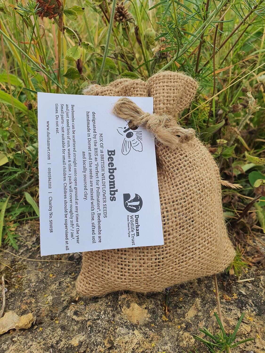 Durham Wildlife Trust Beebombs