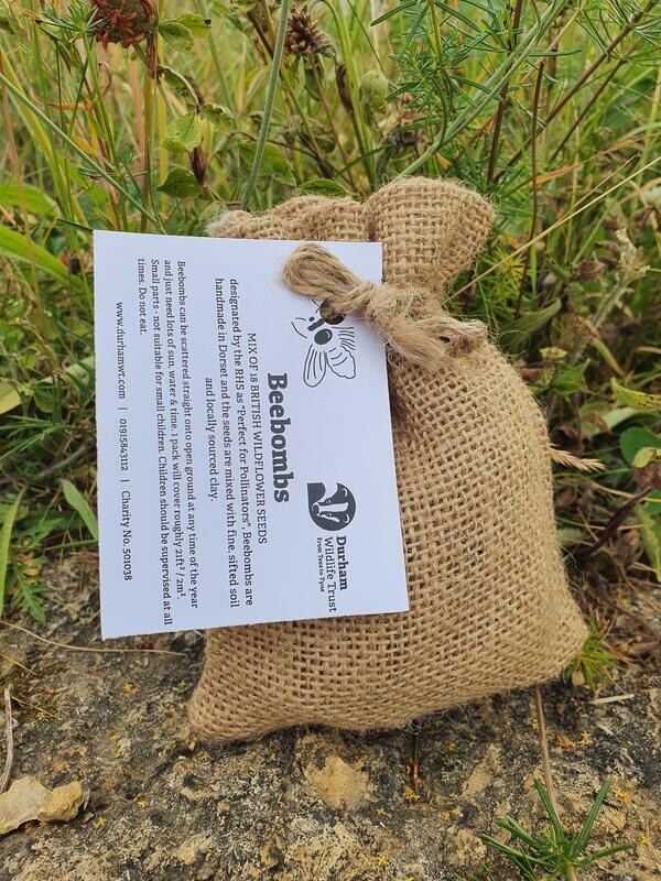 Durham Wildlife Trust Beebombs
