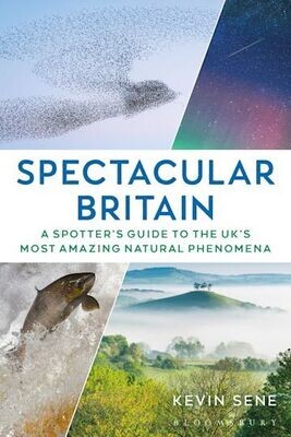 Spectacular Britain by Kevin Sene