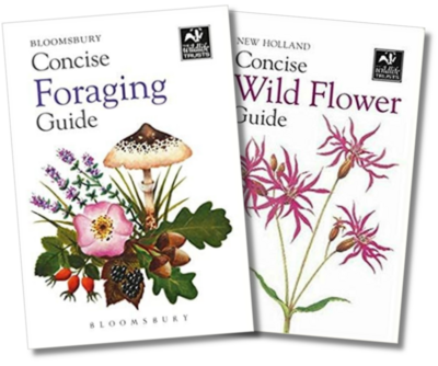 Mother's Day Gift Guide