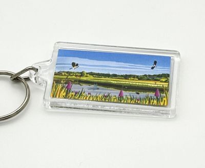 Rainton Meadows Keyring