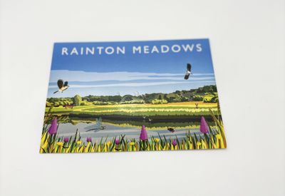 Rainton Meadows Postcard