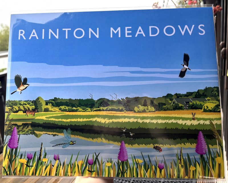 Rainton Meadows Travel Art Print - 11x14&quot;