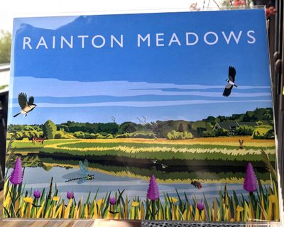 Rainton Meadows Travel Art Print - 11x14&quot;
