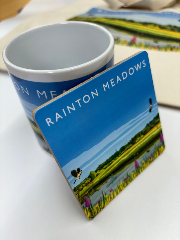 Rainton Meadows Coaster