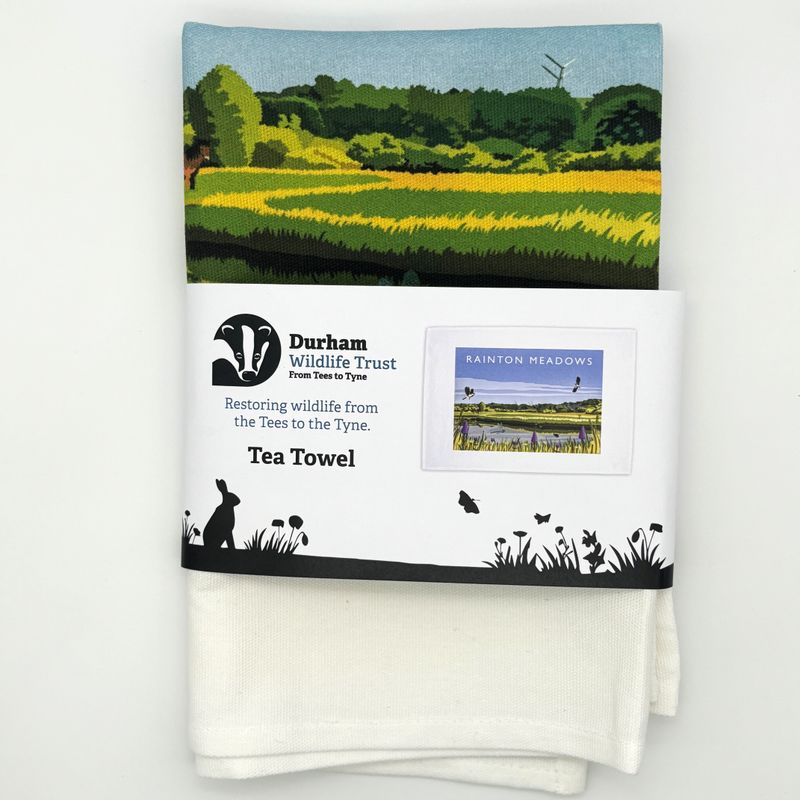 Rainton Meadows Tea Towel