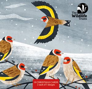 TWT Christmas Art Card pack