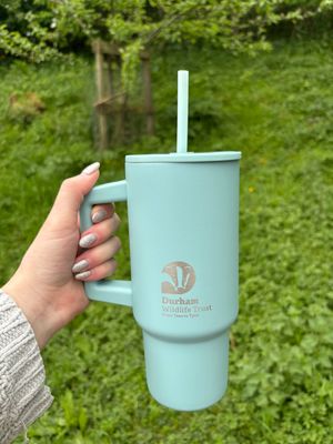 DWT Sho XL Tumblers