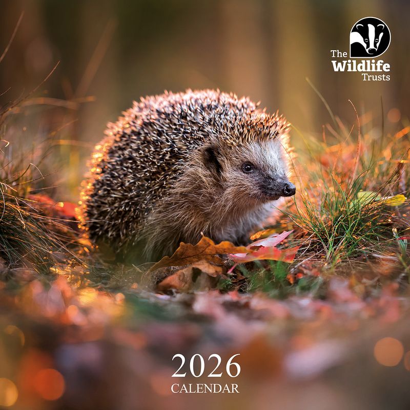 TWT Calendar 2026